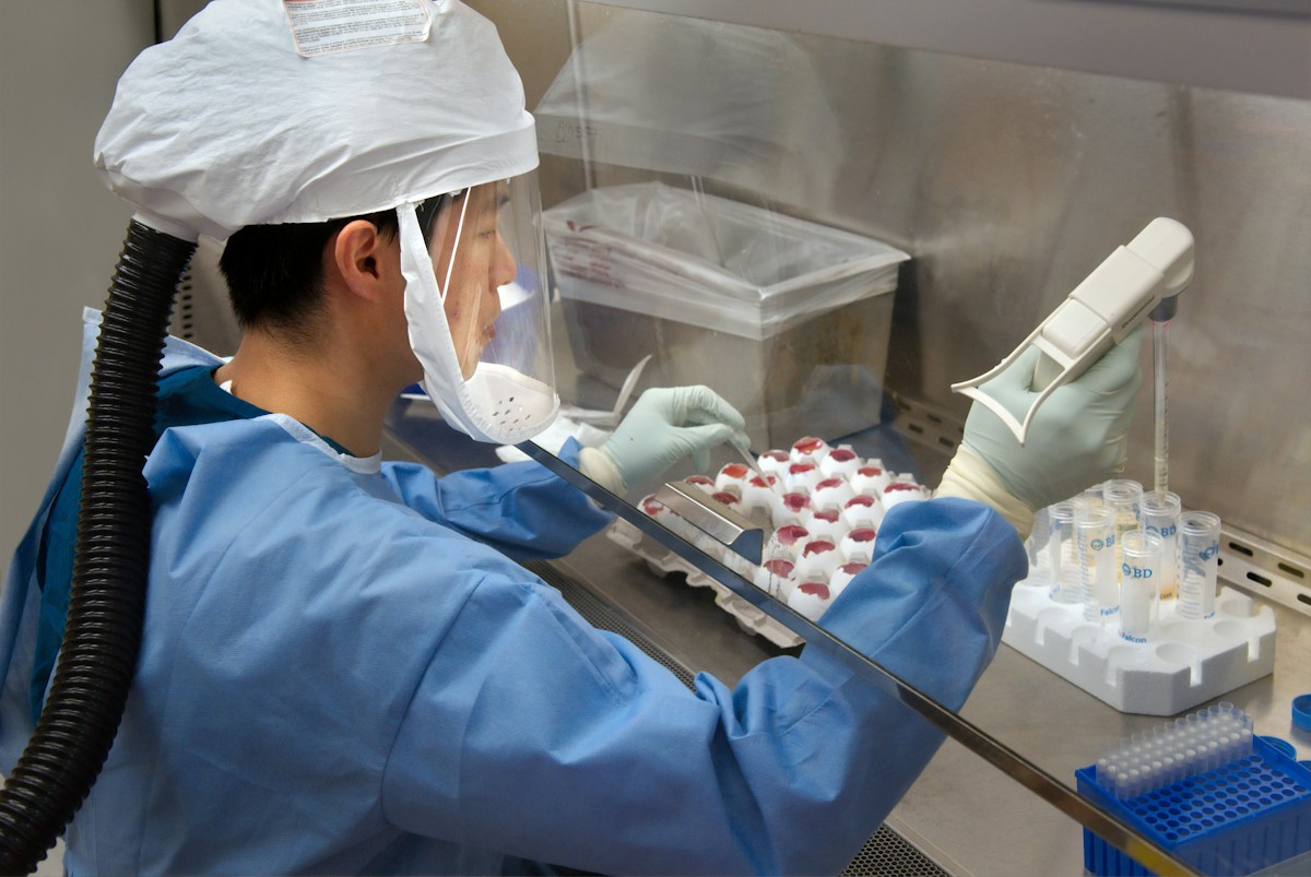 Researcher in protective gown, gloves and face shield working inside a biosafety cabinet